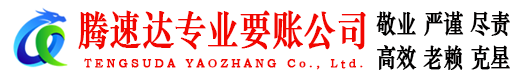 永嘉清债公司
